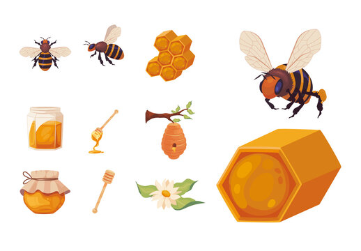 Yellow And Orange Honey Bees Illustrations Set