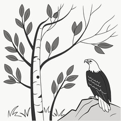 A majestic bald eagle perched on a rock near a birch tree, , creating a captivating scene of natures beauty and wildlife harmony