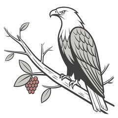 Majestic bald eagle perched on a bare tree branch with a cluster of red berries and a few green leaves against a white background