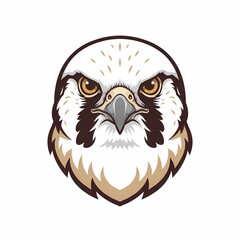 Fototapeta premium owl on a branch