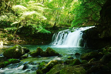 Fototapeta premium Tateshina Otaki Water Fall in Yamanashi, Japan - 日本 山梨 蓼科大滝