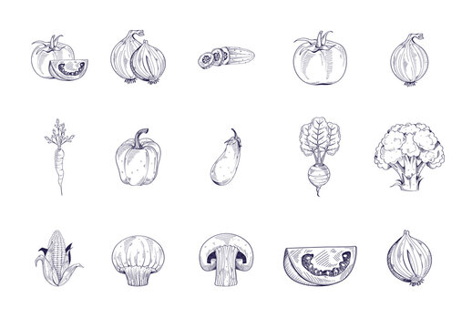 Blue Hand Drawn Food Vegetables Illustration Icons Set