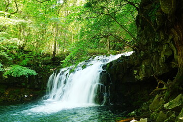 Fototapeta premium Tateshina Otaki Water Fall in Yamanashi, Japan - 日本 山梨 蓼科大滝