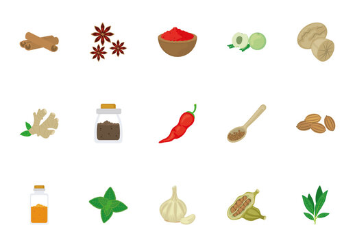 Colorful Indian Spices Herbs Cooking Illustrations Set