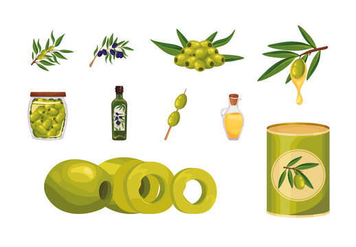 Green Olive Liquid Gold Illustration Set