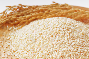 日本の発酵食品の代表である米麹