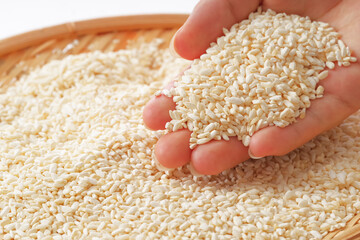 日本の発酵食品の代表である米麹