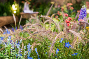 A Serene Floral Wonderland: Embrace Nature's Vibrant Colors and Textures
