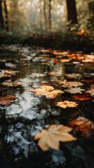 Obraz premium Autumn leaves in a forest stream