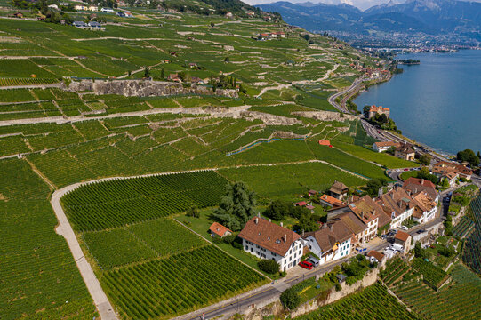 Aerial view of the terraced vineyards cascading down to the shimmering lake Geneva, with the Ch&Atilde;&cent;teau de Chillon standing proudly, Puidoux, Vaud, Switzerland.