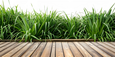 Green grass and wooden planks isolated on white background