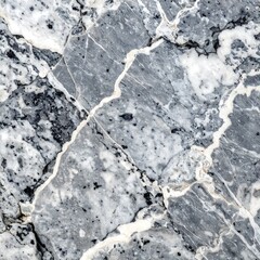 Fototapeta premium Gray and white marble texture
