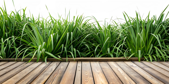 Green grass and wooden planks isolated on white background