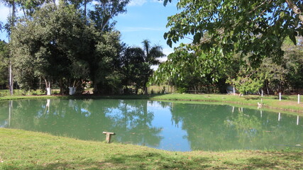 lake in the park