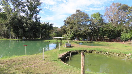 lake in the park