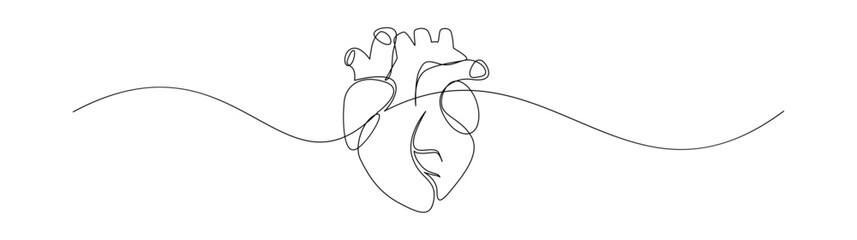 Continuous Line Drawing of Human Heart