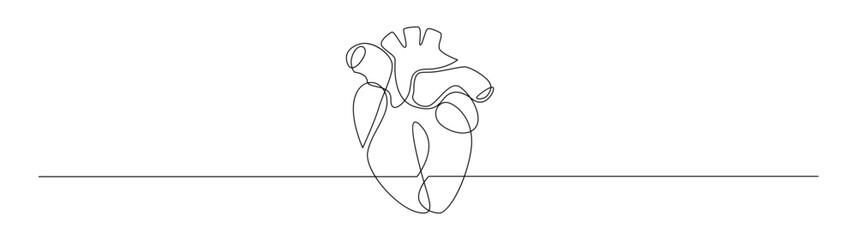 Continuous Line Drawing of Anatomical Heart