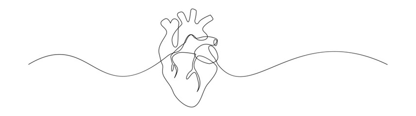 Anatomical Heart One Line Drawing Minimalist Art