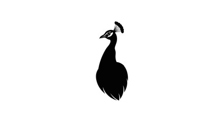Fototapeta premium Silhouette of a peacock with a detailed head crest, elegant and graceful.