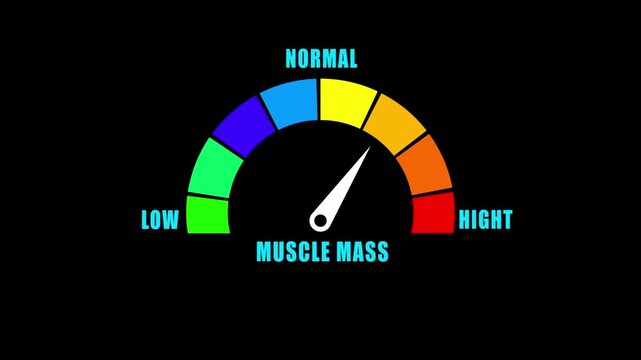 Animated muscle mass level meter decreasing from normal to low level, ideal for concepts related to vitamin D deficiency, nutrition and bone health
