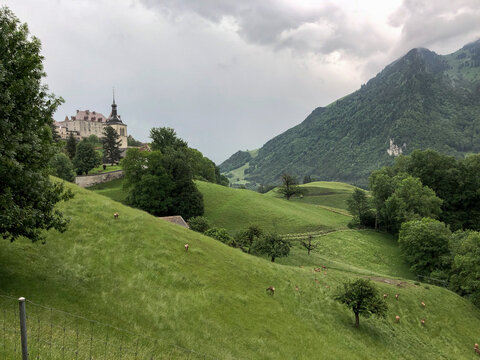 View of a historic castle standing majestically on a lush green hillside with rolling meadows under a cloudy sky, Gruy&Atilde;&uml;res, Fribourg, Switzerland.