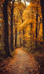 Autumn forest path landscape with golden leaves and towering trees creating a scenic woodland walk during the fall season Beautiful nature trails invite exploration and