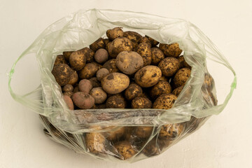 Freshly harvested potatoes in plastic bag showing raw vegetables