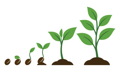 young sprout of plant in gardening in the soil. Vector green plants. Pictures of full trees from seeds. Tree plantation. Plant life cycle.