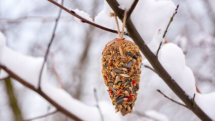 Naklejka premium Winter Bird Feeder: Homemade Seed Cone Hanging on Snow-Covered Branch, Rustic Charm, Wildlife Conservation.