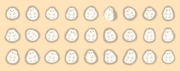 Hedgehog Collection cute on a orange background, vector illustration.