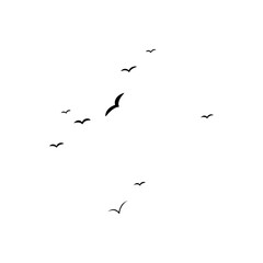 flying birds silhouette vector