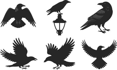 Obraz premium Collection of Black Silhouette Illustrations of Ravens in Various Poses and a Lamppost crow bird