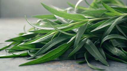 Obraz premium Fresh tarragon herb with long green leaves on a textured surface