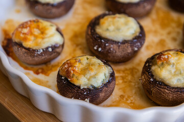baked champignon mushrooms stuffed with herb cream cheese and topped with parmesan. Perfect for illustrating cozy fall appetizers, party snacks