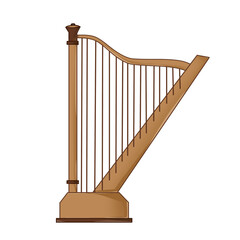 plucked musical instruments