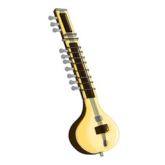 plucked musical instruments