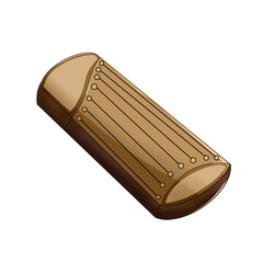 plucked musical instruments