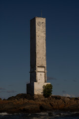 Obraz premium Humpback whale in Itacaré Bahia Brazil ocean at sunset with blue textured sea sky and tropical nature wildlife photography