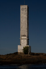 Obraz premium Humpback whale in Itacaré Bahia Brazil ocean at sunset with blue textured sea sky and tropical nature wildlife photography