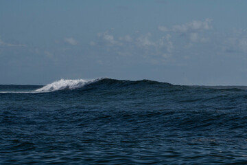 Humpback whale in Itacaré Bahia Brazil ocean at sunset with blue textured sea sky and tropical nature wildlife photography