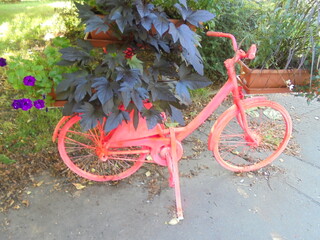 red bicycle in the park