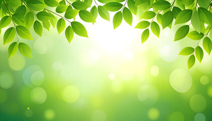 Fresh green leaves hanging from a branch against a soft focus sunny green background with bokeh