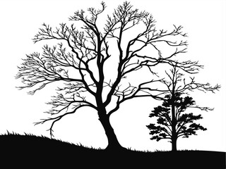 Obraz premium tree silhouette vector