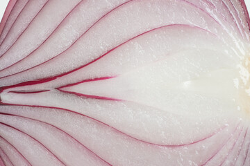 close up of onion