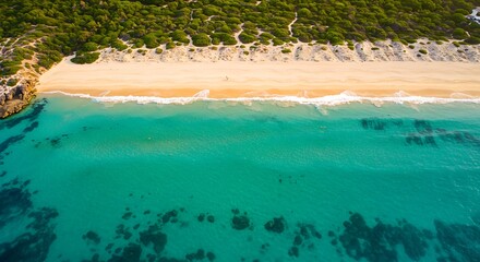 Aerial view of a pristine sandy beach with turquoise water and lush green vegetation