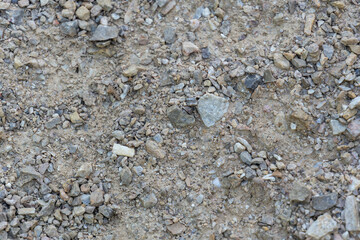 A rocky, sandy area with a few small rocks scattered throughout