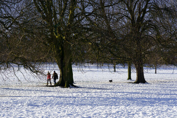 Two people walk with dog across The Stray in Harrogate on a snowy day beneath bare winter trees.