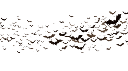 Swarm of Bats in Flight isolated on transparent background