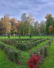 autumn in the park