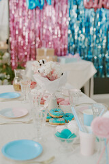 Table set for party featuring pastel plates, cups, glassware, blue frosted donuts, pink and flowers in vase, metallic pink and blue fringe backdrop, festive decorations visible